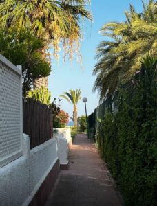 Whatsapp Image 2026 02 13 At 20 51 03 1